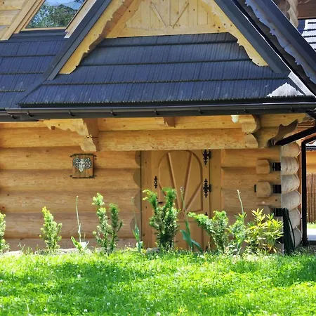 Baran, Z Widokiem Na Giewont *